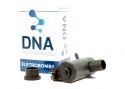 DNA012BG