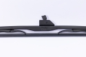 DNA24607