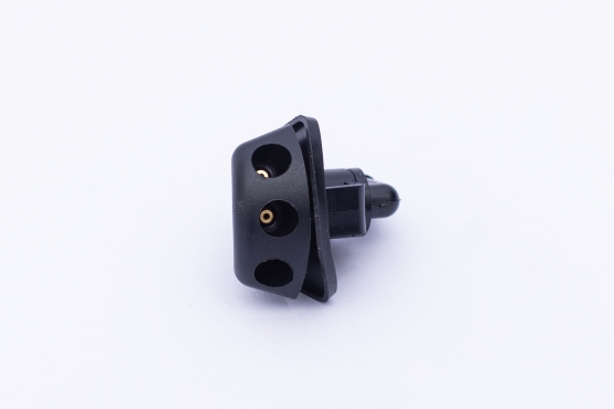 DNA7161
